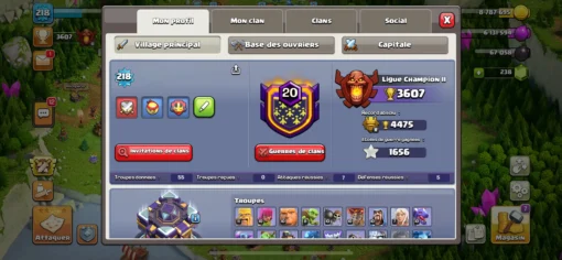 Vendre compte coc